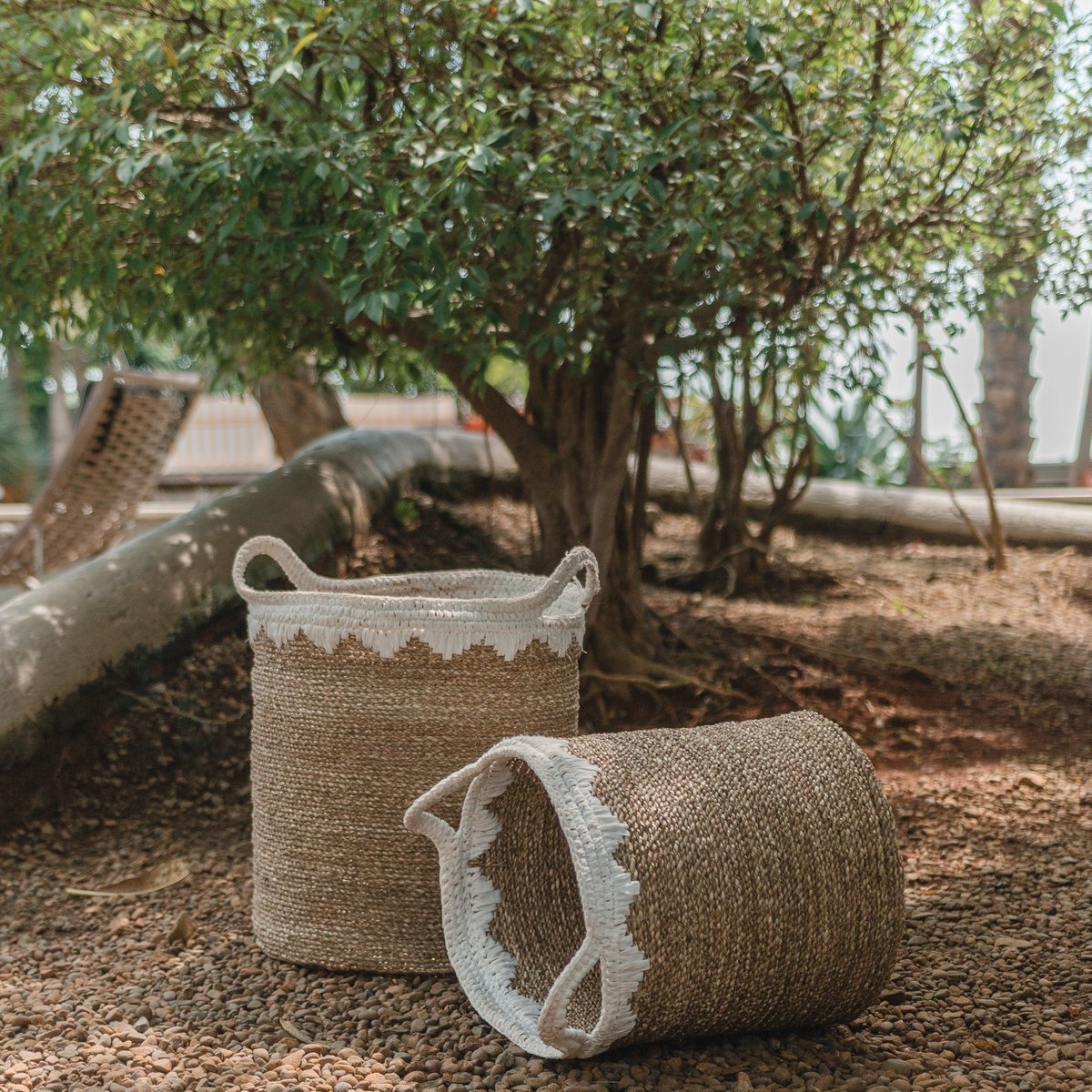 Large laundry basket round storage basket plant basket woven from natural fibers NIAS white (2 sizes)