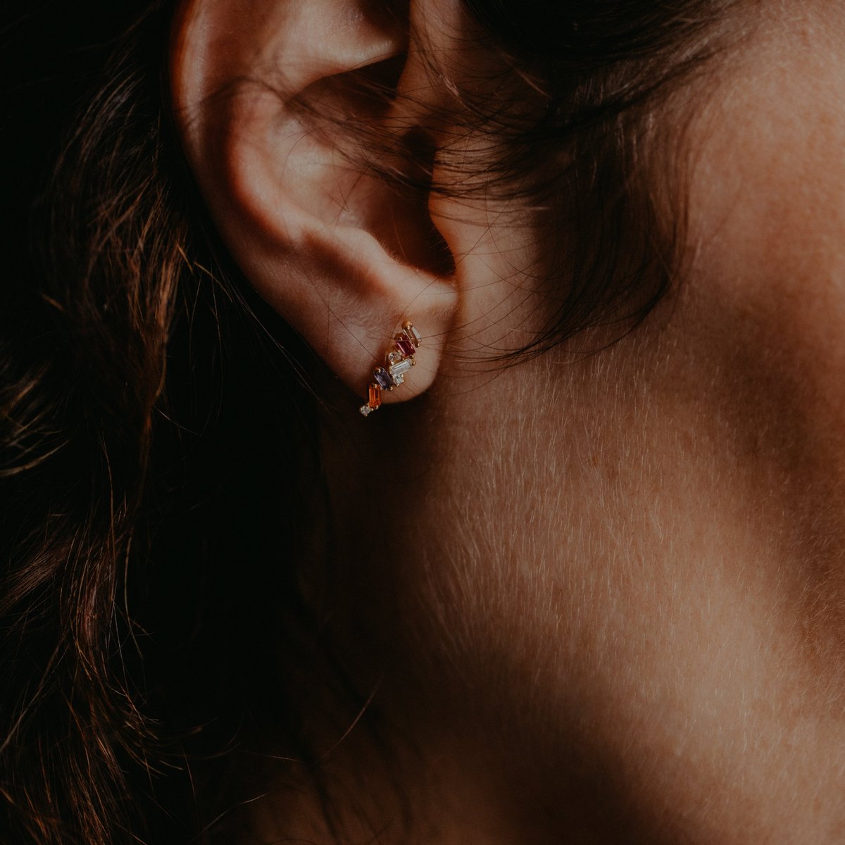 Colorado earrings